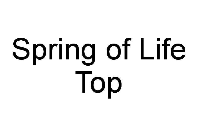 Spring of Life Top