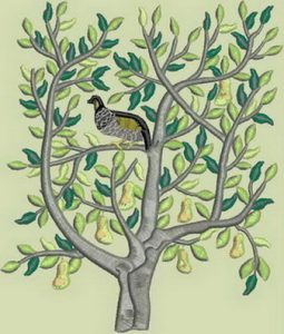 A partridge in a pear tree