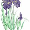 Iris, Machine Embroidery Designs, Floral, Flower, Pot Plant, clothing, t-shirt, blouse, oven mits, homewares