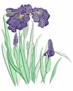 Iris, Machine Embroidery Designs, Floral, Flower, Pot Plant, clothing, t-shirt, blouse, oven mits, homewares