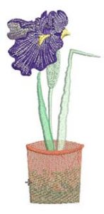 Iris, Machine Embroidery Designs, Floral, Flower, Pot Plant, clothing, t-shirt, blouse, oven mits, homewares