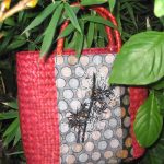 Maui, machine embroidery designs, Hawaii, bamboo, frangipani, floral, flowers, decorative, handbag, bag, clothing, shirt, top, scarf, blouse, tropical