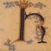 Illuminations, alpabet, machine embroidery designs, decorative, artistic, regency, wall hanging, quilt, blanket